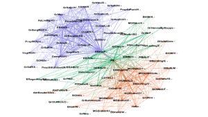 Eine Analyse der Netzwerke kann etwa mit  Gephi oder mit R erfolgen.